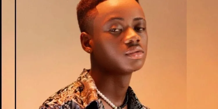 La famille du chanteur Clifford Dumé terrassée par l’insécurité !