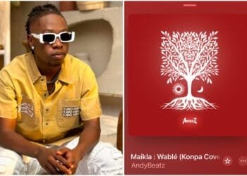 “Makila : Wablé”, le cover compas de AndyBeatz qui annonce son premier album