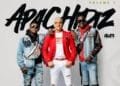 Après une longue attente, le label Apache World Music dévoile enfin l'album "Apachidiz volume I"
