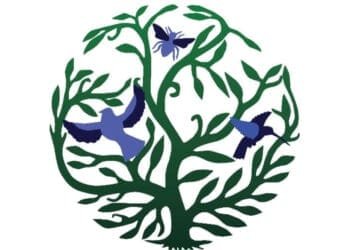 Wynne Farm en danger, Presnel Colas et Peterson Dorsainvil lancent un SOS