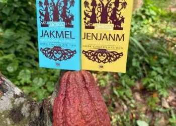 AYITIKA, l’excellence du chocolat haïtien distinguée à l’international